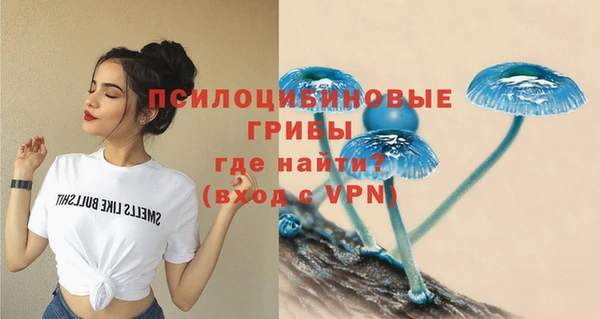 соль курить ск Лагань