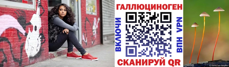 Псилоцибиновые грибы Psilocybine cubensis Далматово